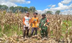 berita-pilihan-foto