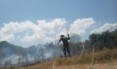 berita-pilihan-foto